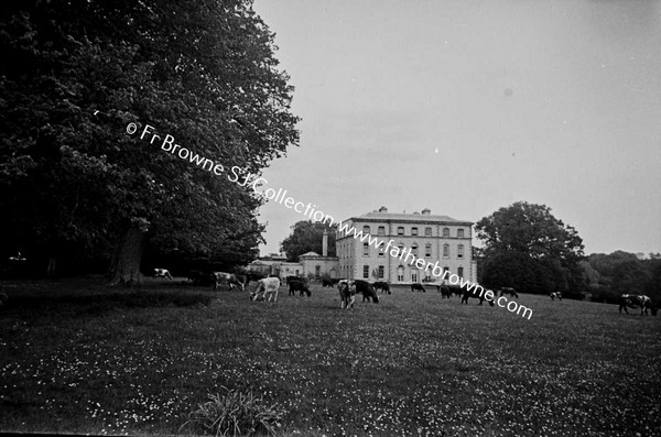 PRESENTATION CONVENT SOUTH FRONT WITH COWS